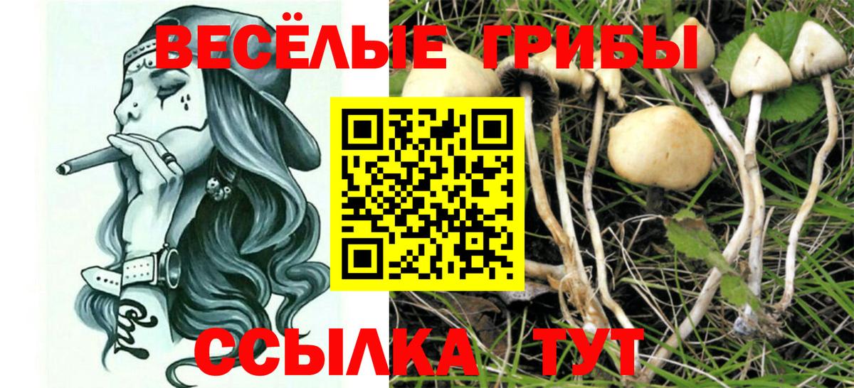 Галлюциногенные грибы Psilocybine cubensis  Псилоцибиновые грибы Psilocybe  Вход с VPN  Хасавюрт 