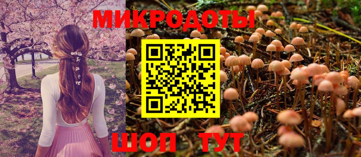Галлюциногенные грибы Psilocybe Хасавюрт
